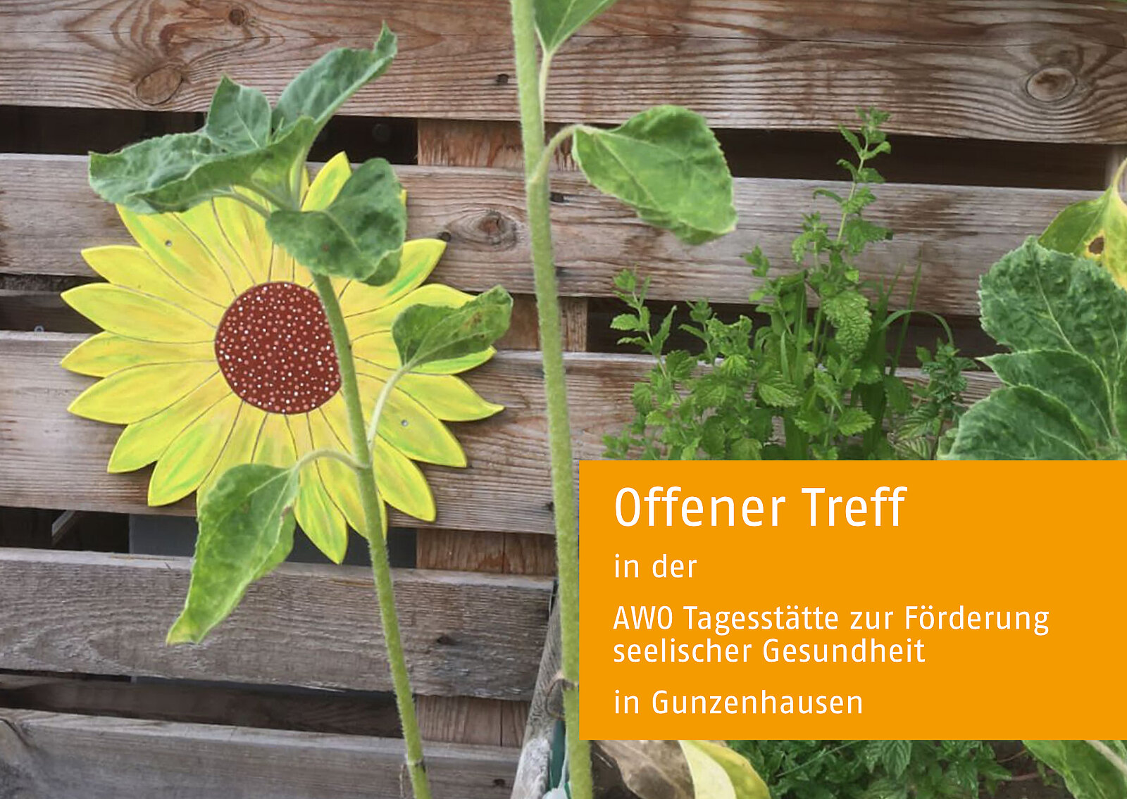Bild von einer Pflanzenwand, darauf der Text: Offener Treff in der AWO Tagesstätte zur Förderung seelischer Gesundheit in Gunzenhausen