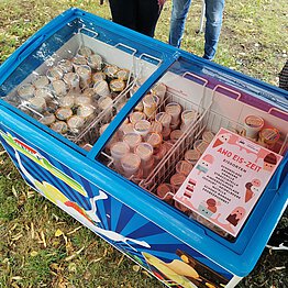 Kühltruhe voller Eis