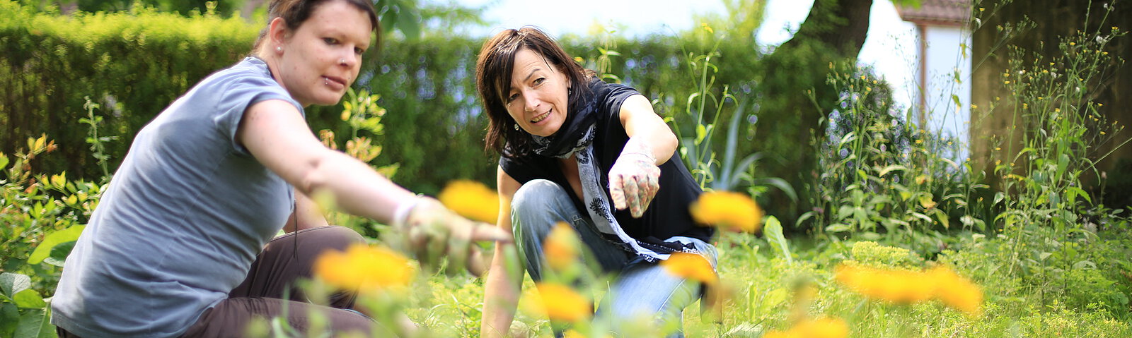 Klienten im Garten